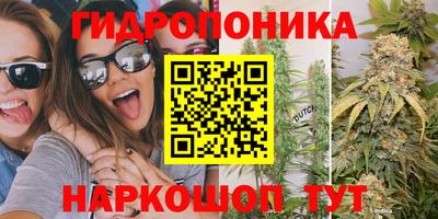 кокс Можайск
