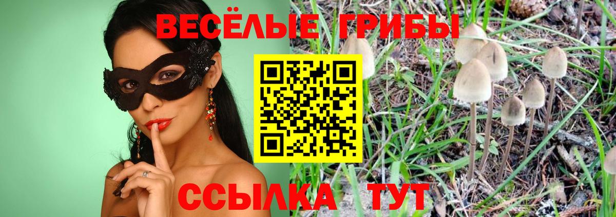 Псилоцибиновые грибы прущие грибы Анжеро-Судженск